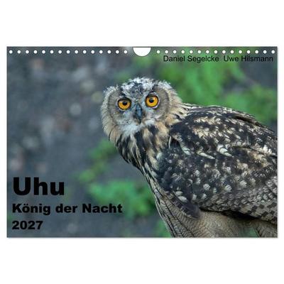 Uhu - König der Nacht (Wandkalender 2027 DIN A4 quer), CALVENDO Monatskalender