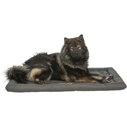 PETS Collection Samoa Classic travel blanket, 130 × 80 cm, olive green (Hund), Hundebett + Katzenbett