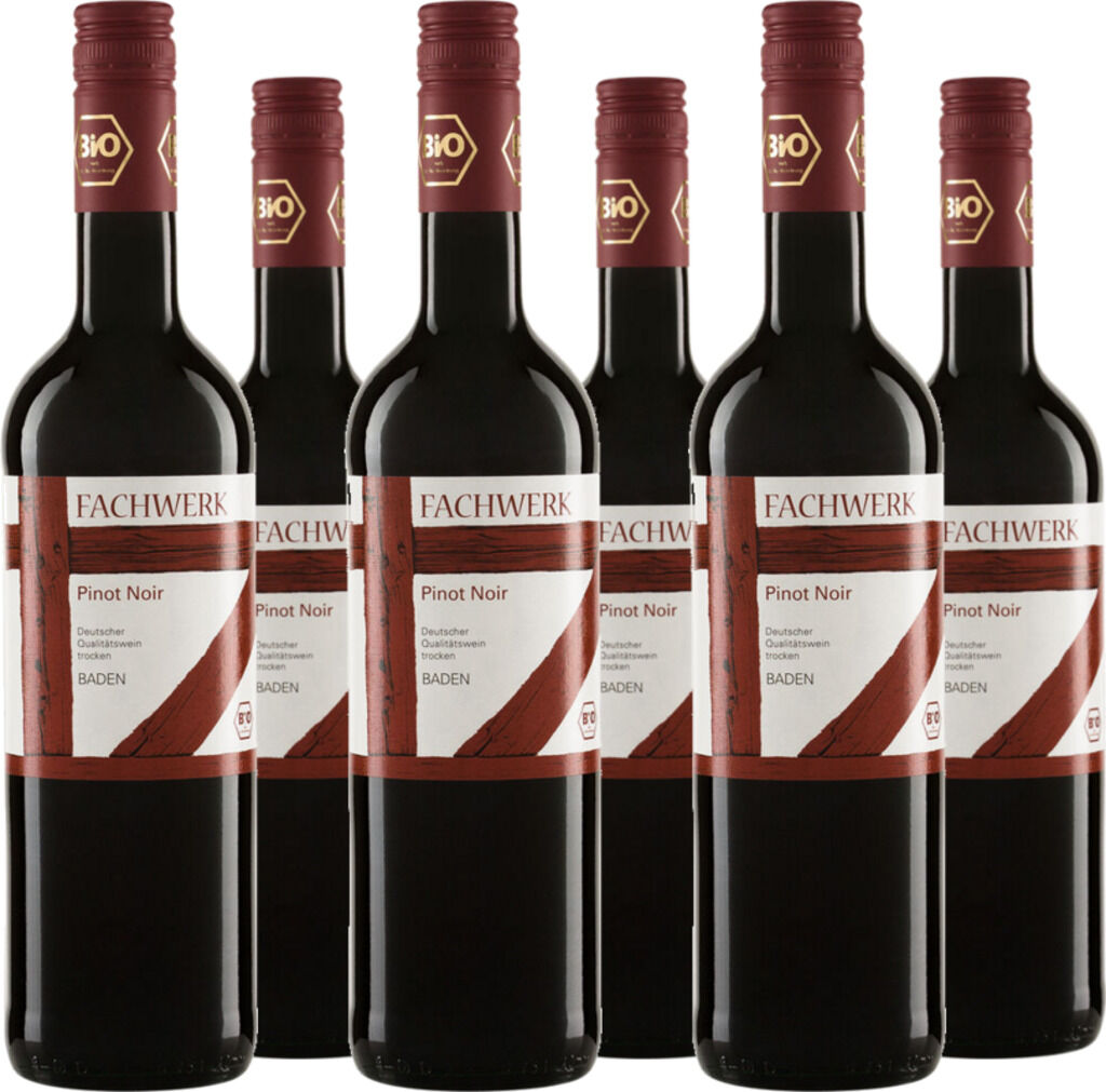 6er Vorteilspaket Pinot Noir Baden QbA 2024 Fachwerk