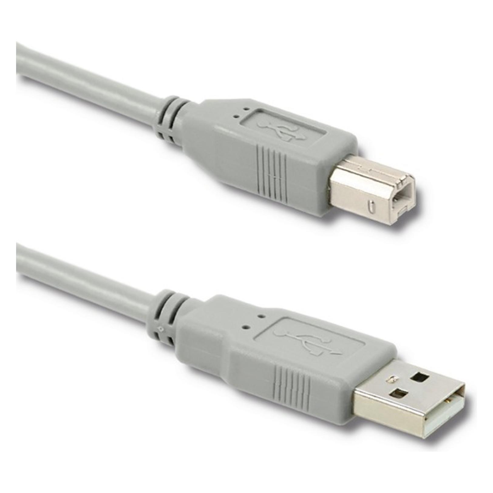 Qoltec Kabel USB 2.0 A męski | B męski | 1m (1 m, USB 2.0) (50395)