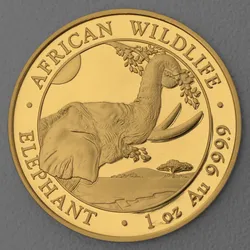 Goldmünze 1oz "Elefant" 2023 African Wildlife (Somalia)