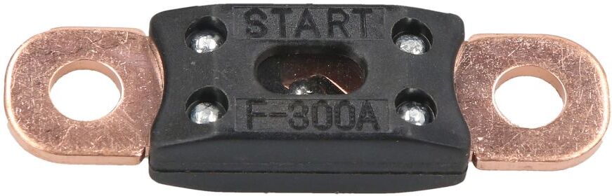 Sicherung 300A, LEMANIA ENERGY 0XLM00891