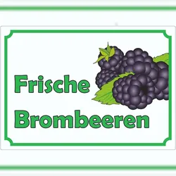 HB-Druck Werbeaufkleber Aufkleber Brombeeren A0 (841x1189mm)