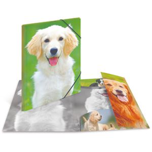 Herma Zeichenmappe 7144, Hunde, A3, aus PP, 3 Einschlagklappen, Gummizug, 3 Stück