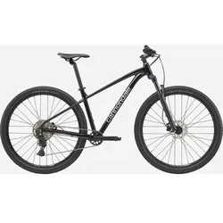 Cannondale Trail 2 29" Mountainbike Schwarz Gr. XL