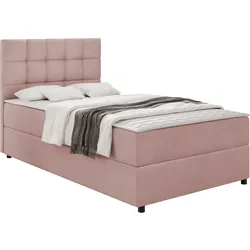 BOXBETT Lind - H3