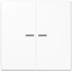 Jung Wippe Lichtleiter aws LS 995 KO5 WW