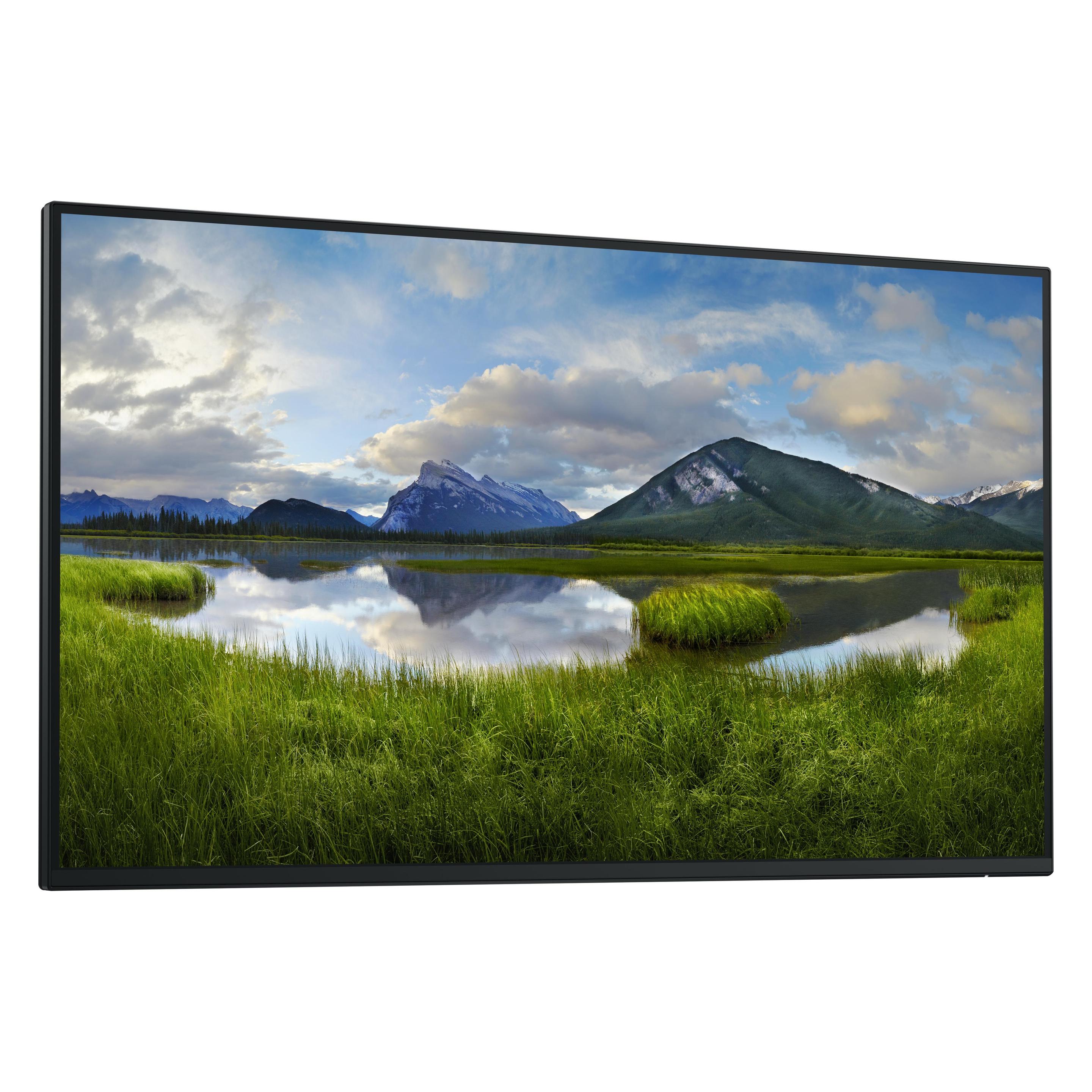 Dell P2725H without stand (1920 x 1080 Pixel, 27") (DELL-P2725HWO)