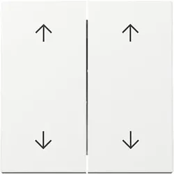 Gira Wippe 2f Pfeile Reinweiß 329703