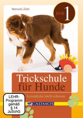 Trickschule für Hunde I [2 DVDs] - Preis vom 17.10.2026 19:25:27 h