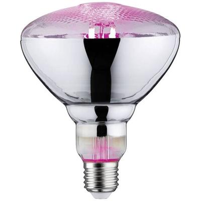 Paulmann LED-Pflanzenlampe Wachstum 230V E27 6.5W Bernstein 1St.