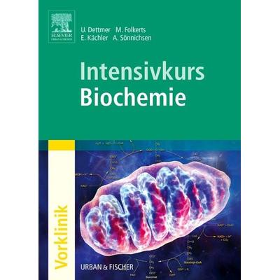 Intensivkurs Biochemie, Taschenbuch von Ulf Dettmer,Malte Folkerts,Andreas Sönnichsen, Urban & Fischer in Elsevier