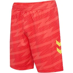 hummel SV Werder Bremen Torwartshorts 2025/26 3436 - hot coral XL