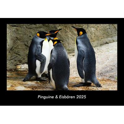 Pinguine & Eisbären 2025 Fotokalender DIN A3