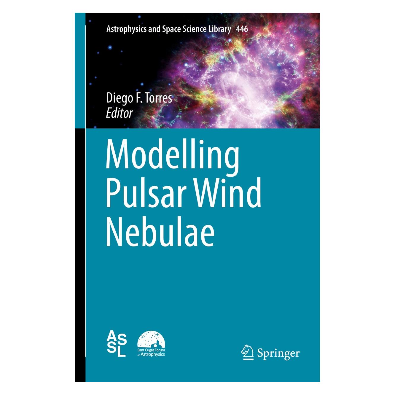 Springer Modelling Pulsar Wind Nebulae (9783319630304)