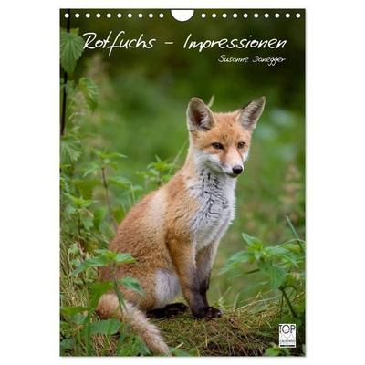 Rotfuchs - Impressionen (Wandkalender 2027 DIN A4 hoch), CALVENDO Monatskalender