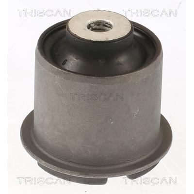 TRISCAN Lagerung, Lenker 850081800 für Tesla