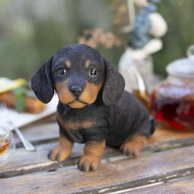 Hi-Line SoReal Black Dachshund