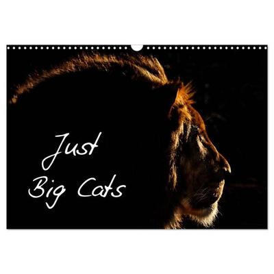 Just Big Cats (Wall Calendar 2026 DIN A3 landscape), CALVENDO 12 Month Wall Calendar