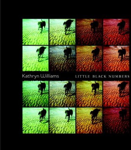 Kathryn Williams - Little Black Numbers - Preis vom 30.09.2026 09:01:18 h