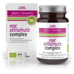 GSE OPC Zellschutz Complex Tabletten bio (60St)
