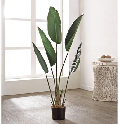 "SAFAVIEH Gladiolus 47.6-Inch Faux Plant, Green and Black - 19.7"" W x 19.7"" L x 47.6"" H"