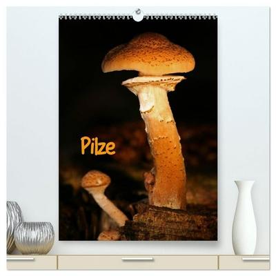 Pilze (hochwertiger Premium Wandkalender 2027 DIN A2 hoch), Kunstdruck in Hochglanz