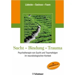 Sucht - Bindung - Trauma, Fachbücher von Christel Lüdecke, Hendrik Faure, Professor Ulrich Sachsse