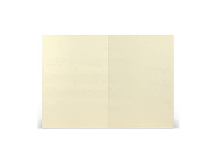 Paperado Karten B6 hd-pl, FSC Mix Credit, 240x169mm, 220g/m2, Beutel 5Stück