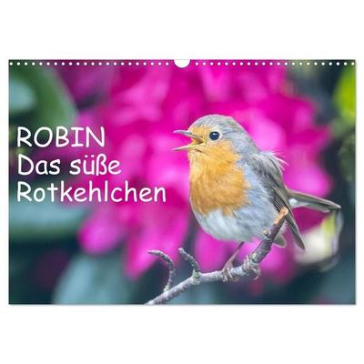 Robin, das süße Rotkehlchen (Wandkalender 2027 DIN A3 quer), CALVENDO Monatskalender