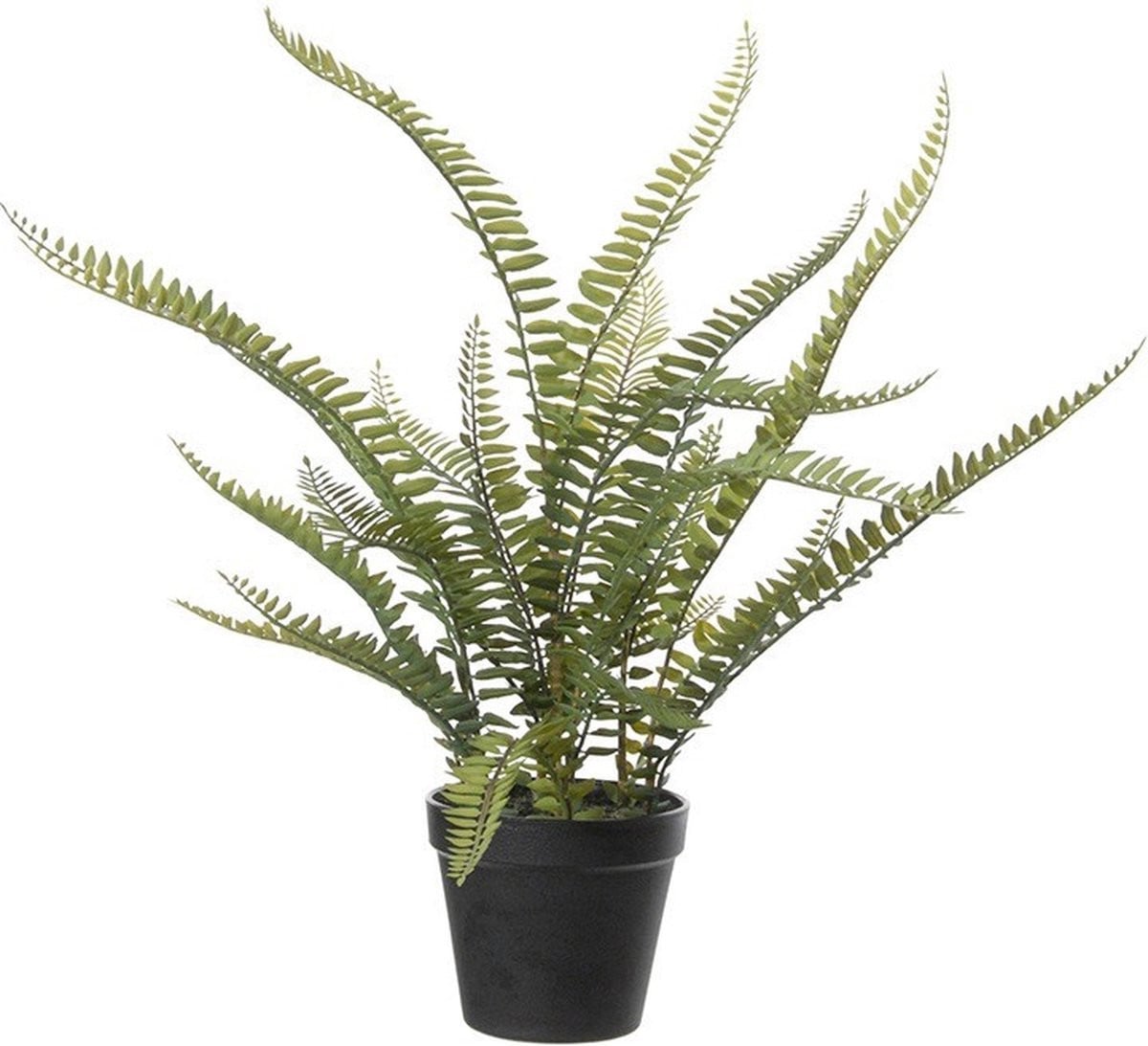 Louis Maes Varen Nephrolepis Kunstplant - Groen - 50 cm