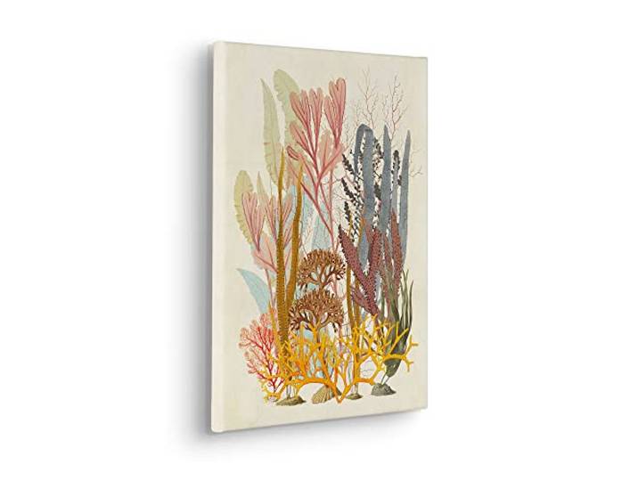 Komar Tableau sur châssis dans un cadre en bois véritable - Coral Aqua - Dimensions : 30 x 40 cm - Impression murale\, décoration murale\, design\, salon\, chambre à coucher
