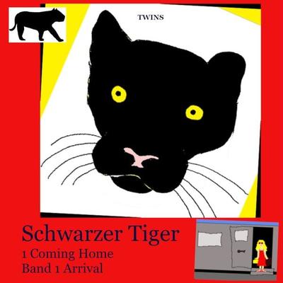 Schwarzer Tiger 1 Coming Home - TWINS, Audio, 9783989839519
