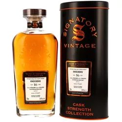 Knockdhu 16 Jahre - 2008/2025 - 2nd Fill Oloroso Butt - Cask...