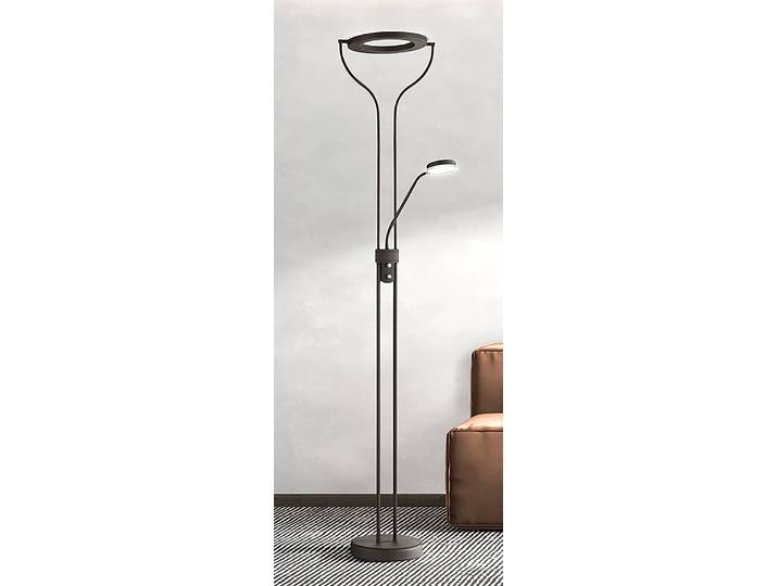 Lampadaire LED Davos 36 x 180 x 47cm Noir/Noir fer verni LED Module LED