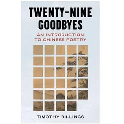 Twenty-Nine Goodbyes, Belletristik von Timothy Billings