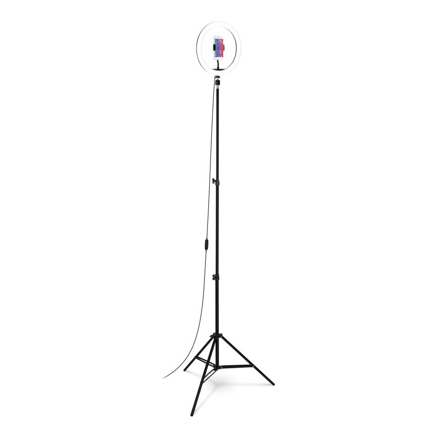 Connect IT Selfie12Ring kruhové 12" LED světlo + stativ 2,1 m (CLI-3000-LG)