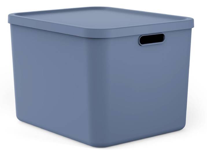 Rotho Albula Multibox 55L Blauw