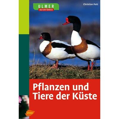 Ulmer Naturführer Pflanzen und Tiere der Küste, Taschenbuch von Christian Pott, Verlag Eugen Ulmer, 978-3-8001-4890-5
