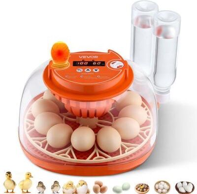 Tools, Home & Hobby 12 Egg Incubator With Automatic Turner And LED Candler 12 Egg Incubator With Automatic Turner And LED Candler