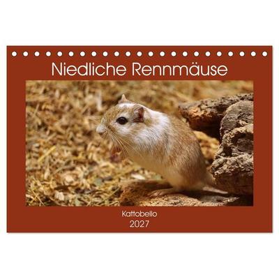 Niedliche Rennmäuse (Tischkalender 2027 DIN A5 quer), CALVENDO Monatskalender