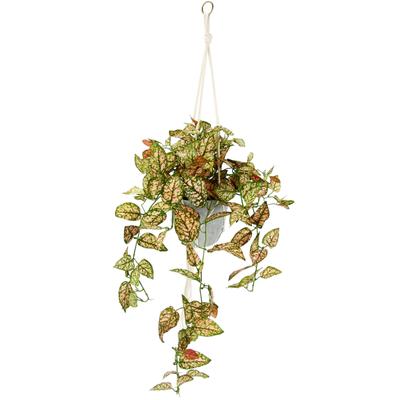 Kunstpflanze I.GE.A. "Künstliche Fittonia Hängeampel mit Topf Kunstpflanze", grün (grün, rot), B:40cm H:80cm L:38cm, Polyester, Kunstpflanzen, Kunstpflanze, Topfpflanze Kunstblume