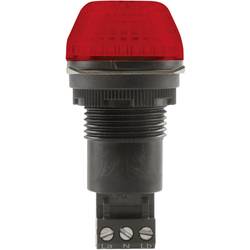Auer Signalgeräte Signalleuchte LED IBS 800502405 Rot Rot Dauerlicht, Blinklicht 24 V/DC, 24 V/AC