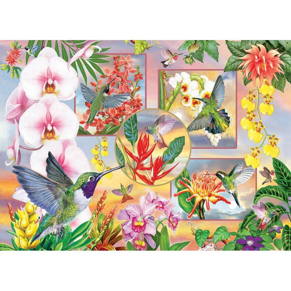 Cobble Hill Kolibri-puzzel met 500 stukjes