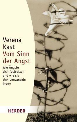 Verena Kast - Vom Sinn der Angst: Wie Ängste sich festsetzen und wie sie sich verwandeln lassen (HERDER spektrum) - Preis vom 01.10.2026 17:08:56 h