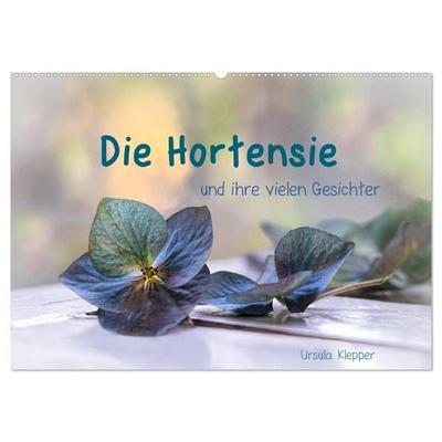 Die Hortensie und ihre vielen Gesichter (Wandkalender 2027 DIN A2 quer), CALVENDO Monatskalender
