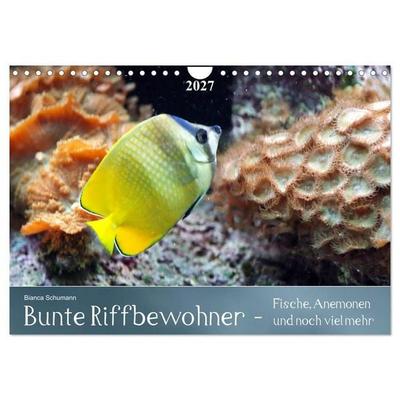 Bunte Riffbewohner - Fische, Anemonen und noch viel mehr (Wandkalender 2027 DIN A4 quer), CALVENDO Monatskalender
