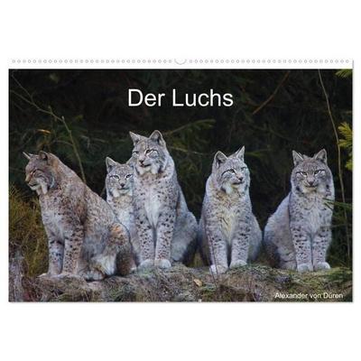 Der Luchs (Wandkalender 2027 DIN A2 quer), CALVENDO Monatskalender