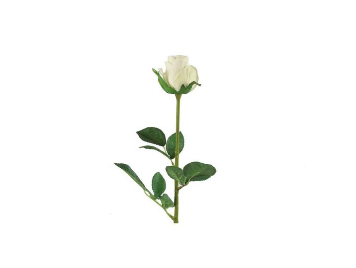 Countryfield zijden bloem roos 70 cm wit