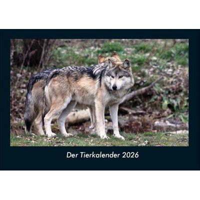 Der Tierkalender 2026 Fotokalender DIN A4